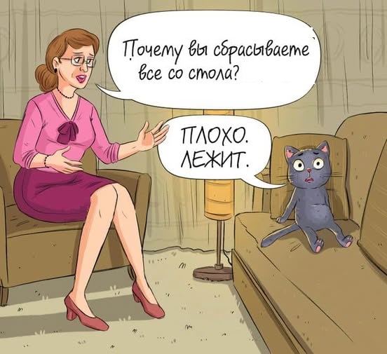 К котовторнику: подборка картинок-баянов с котиками и про котиков. Выпуск 6