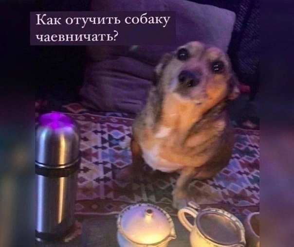 - В "Пятёрочку" заскочим?