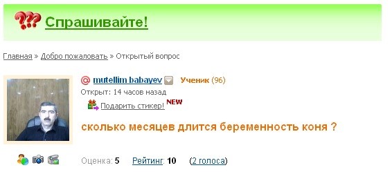 Веселое настроение в картинках (19.07.2025)
