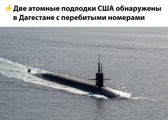 Весёлый полтишок 19.08.25