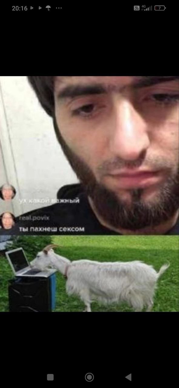 Пошлый и взрослый юмор