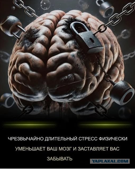 Картинки