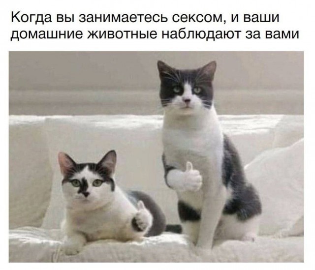 Пошло-баянистая деградация