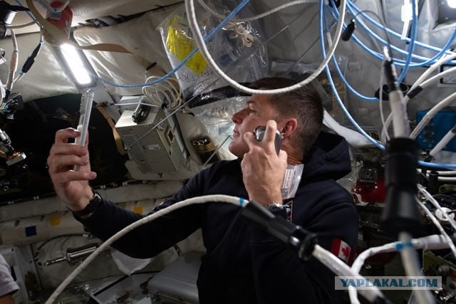 Корабль Орион уже этой ночью облетит Луну