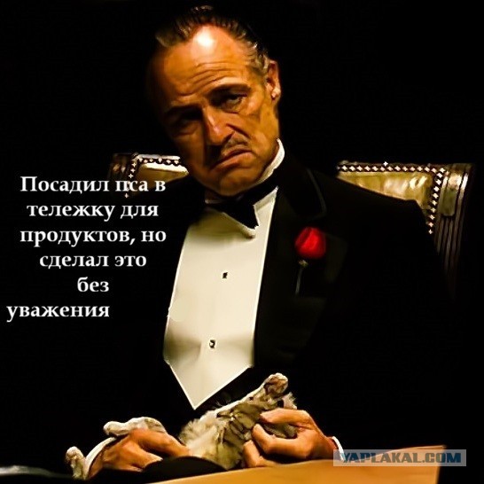 Негодование