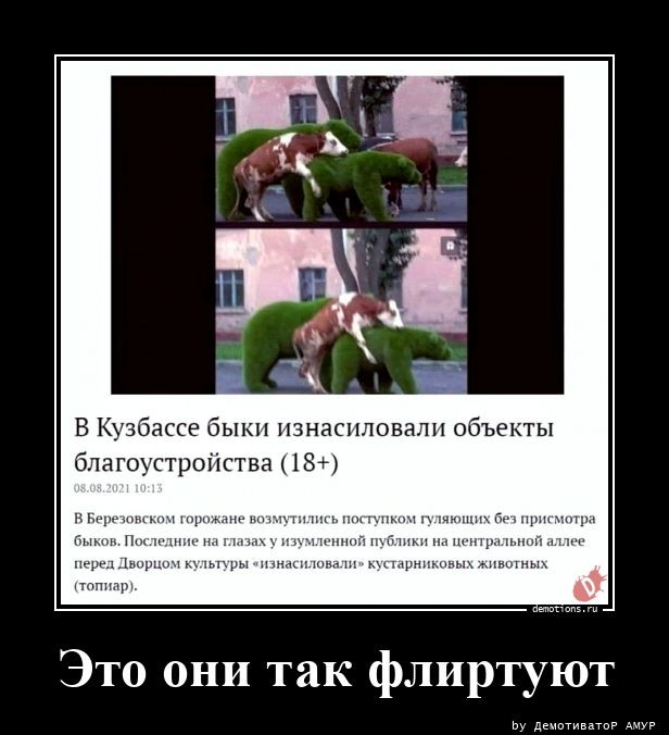 Демотиваторы 18+
