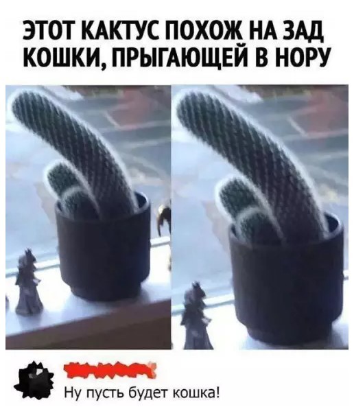 Картинки для деградации 236 (разной степени свежести)