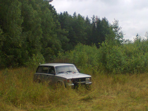 Шёл я лесом...