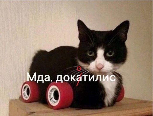 Картинки для деградации 295 (разной степени свежести)