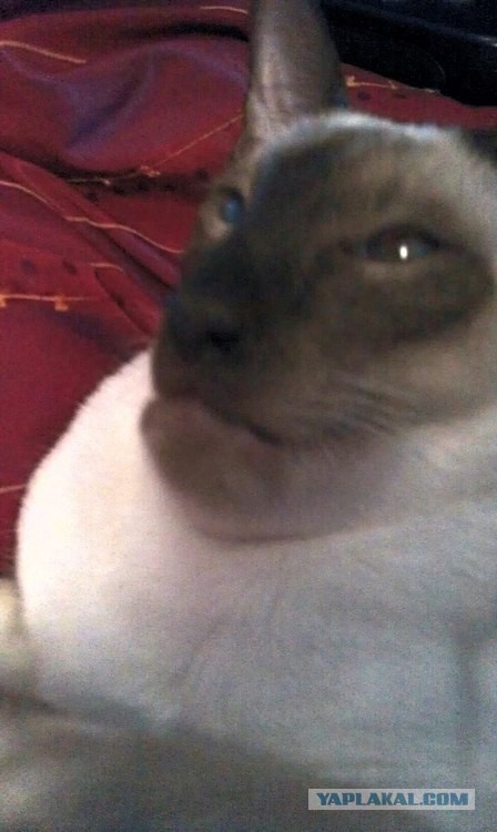 Я не знаю как это озаглавить. Часть 2.