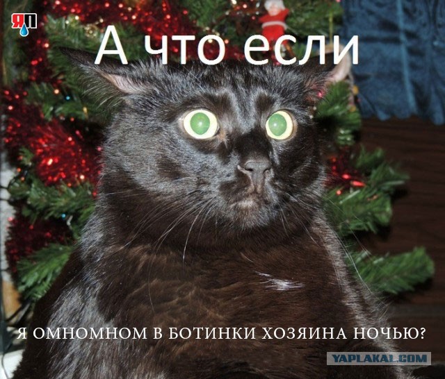 Омномом!