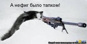 Коты ученых