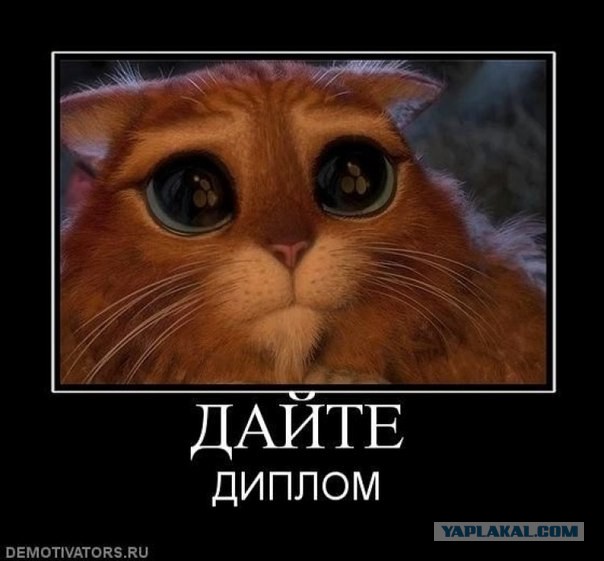 Эпик фэйл, или новые "юристы".