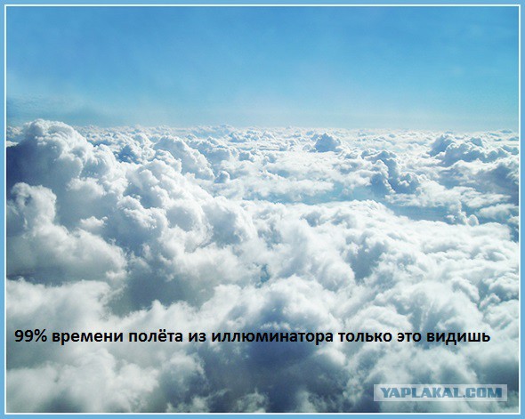 27 причин взять место у окна