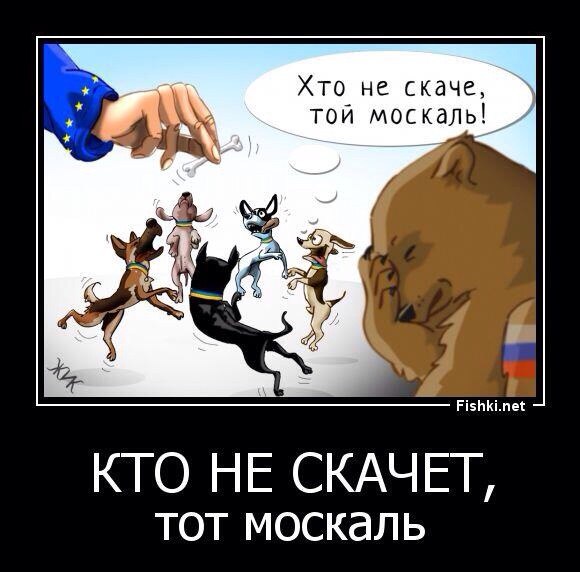 Демотиваторы.