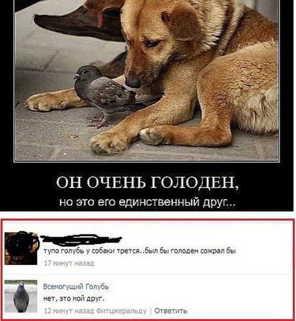 Подборка комментариев из соц.сетей!