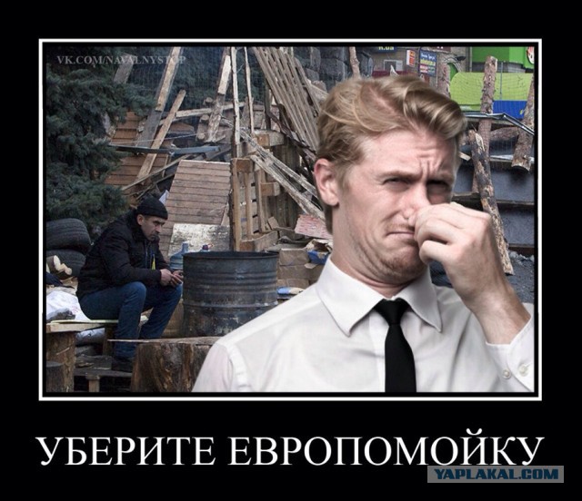 На Майдане посадили огород и строят свинарник.