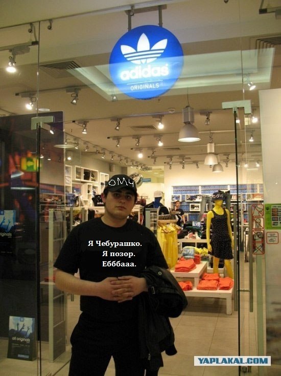 Битва мозгов.