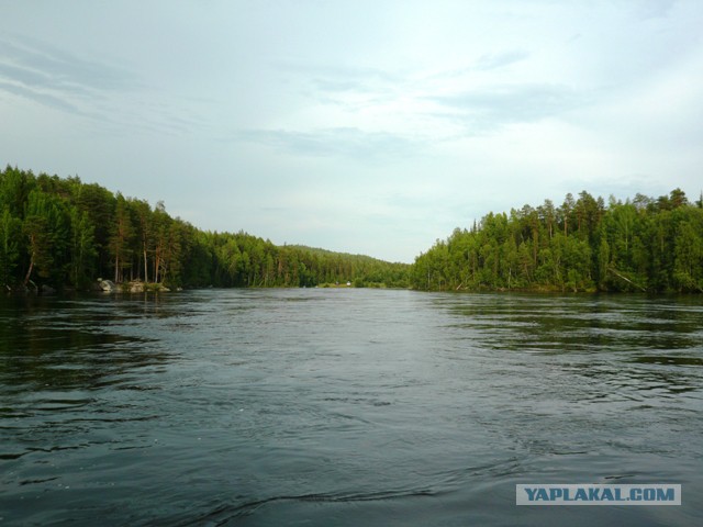 Две недели на Иовском водохранилище. Соколозеро.