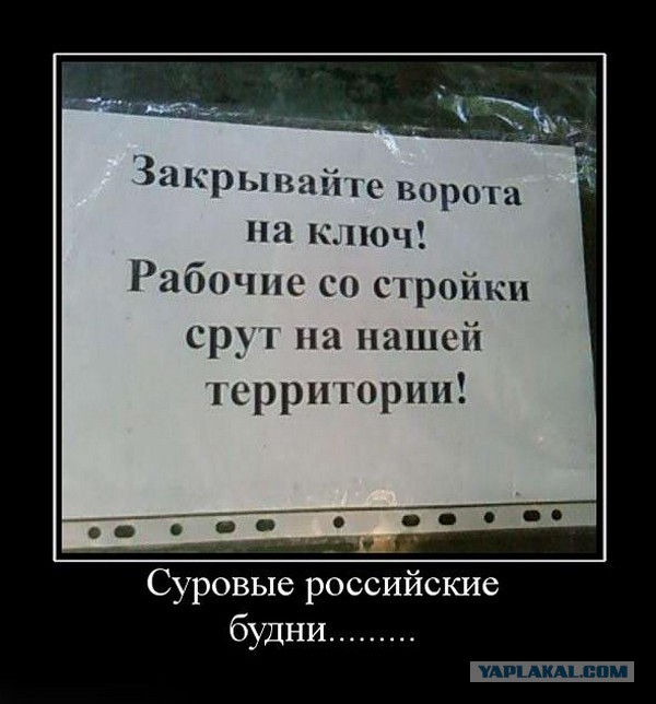 Подборка смешных картинок :)