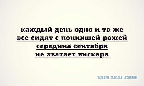 Комментарии из соцсетей
