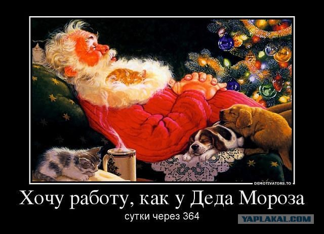 Весёлое из сети
