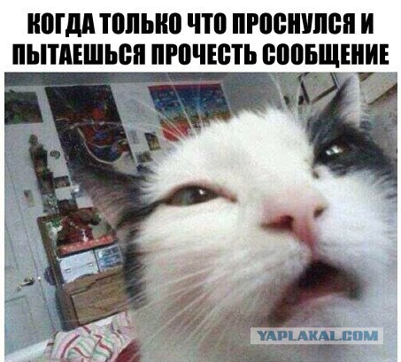 Смешные и не очень картинки из ВК (часть 2)