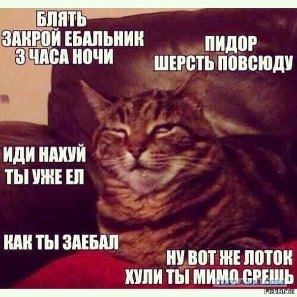 Ты чего дерзкий такой?!