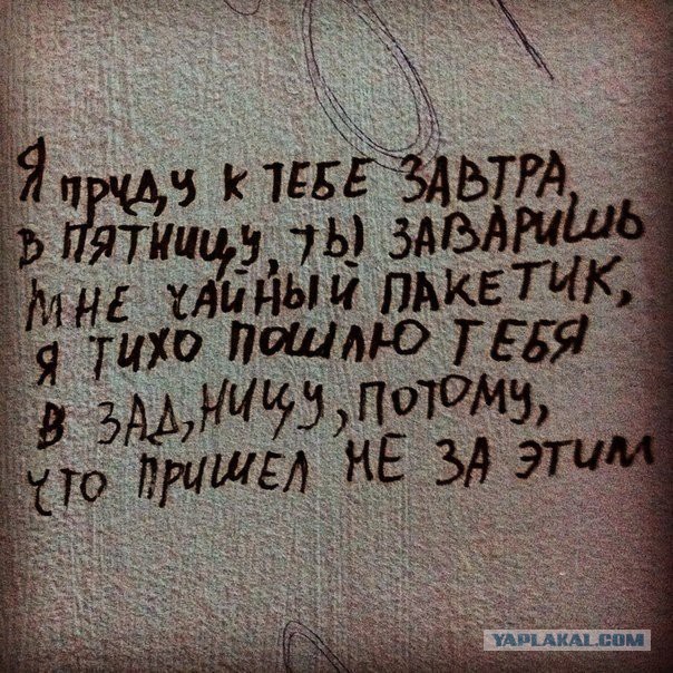 Прекрасные дамы , которые слегка перебрали