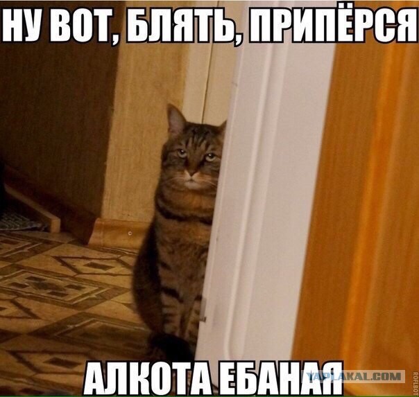 Котю огорчили! За ЧТОООО?