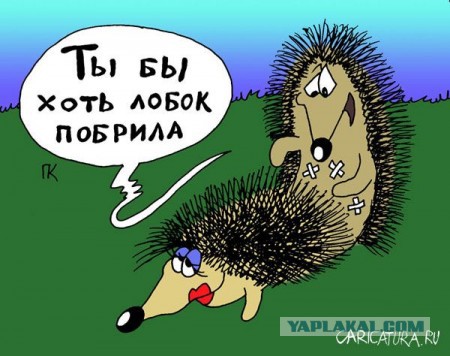 Рисованные эротические приколы