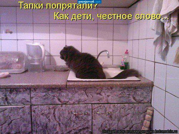 Закупки импортных презервативов хотят ограничить