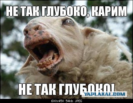 Мини-юбки немецких школьниц оскорбляют мигрантов