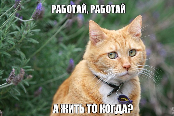 Подборка прикольных фото на пятницу