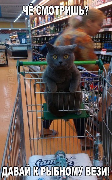 Разные картинки