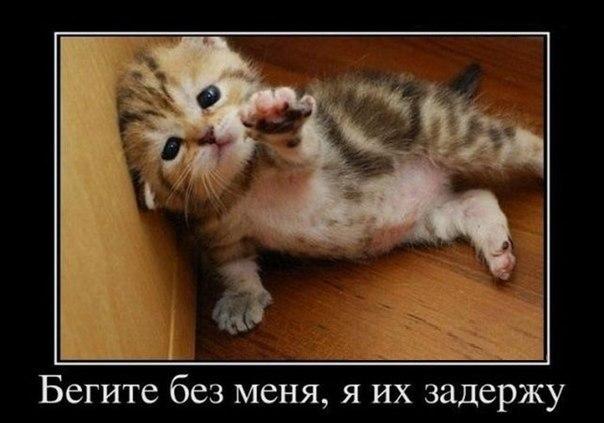 Картинки на утро вторника