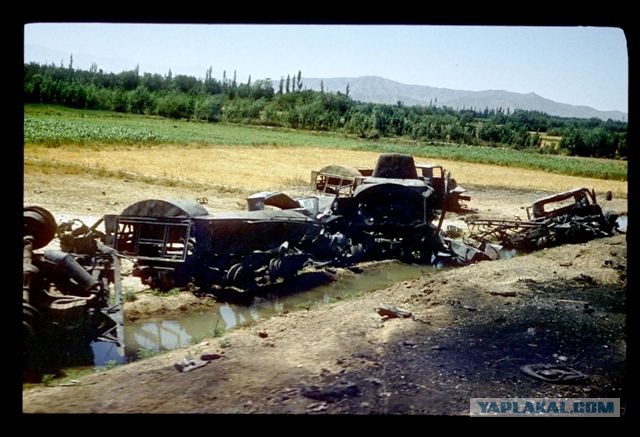 Афганская война