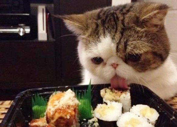 Подборка картинок 24.02.16