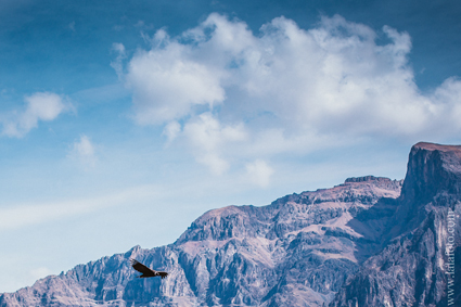 Перуанцы о русских. Три главных слова