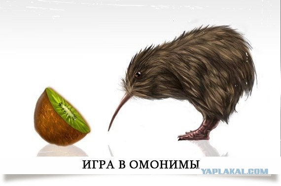 Поиграем в омонимы