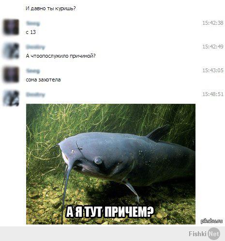 Грамотеи из интернетов умеют сочинять новые слова, даже не задумываясь