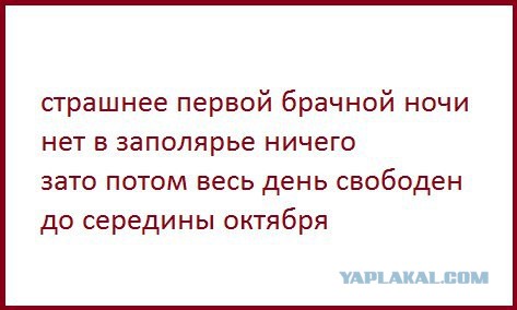 Подборка веселых картинок на выходные