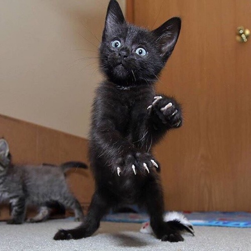 Подборка интересных и веселых картинок