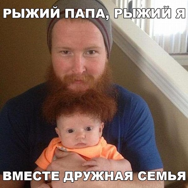 Подборка интересных и веселых фото