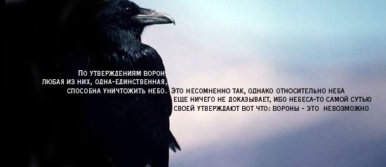 МЕГАПОДБОРКА