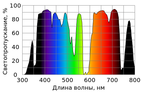 Два брата дальтоника впервые видят цвета