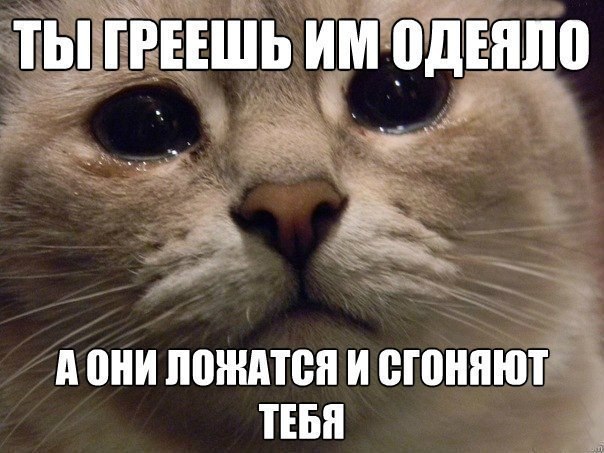 Мохнатые беспредельщики