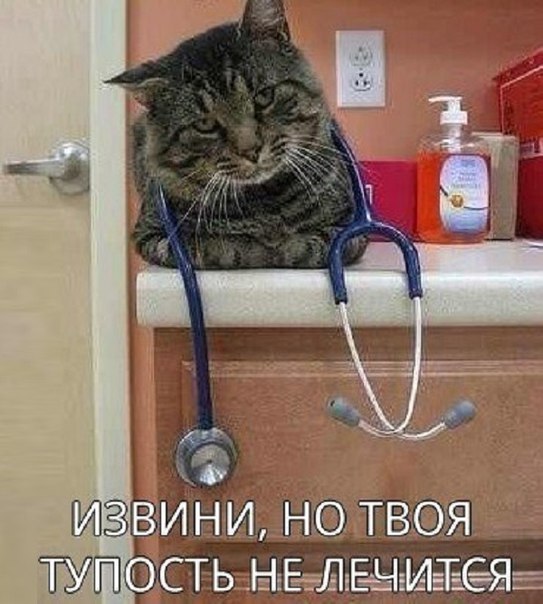 Прикольные животные