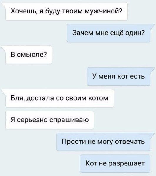 Картинки из интернетов