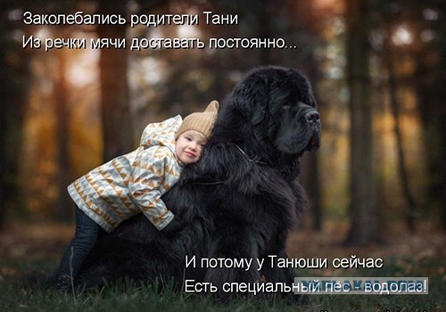 Картинки из ваших интернетов
